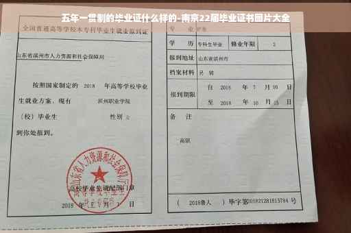 五年一贯制的毕业证什么样的-南京22届毕业证书图片大全
