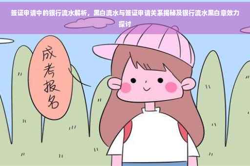 签证申请中的银行流水解析，黑白流水与签证申请关系揭秘及银行流水黑白章效力探讨