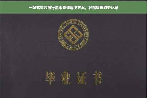 一站式综合银行流水查询解决方案，轻松管理财务记录