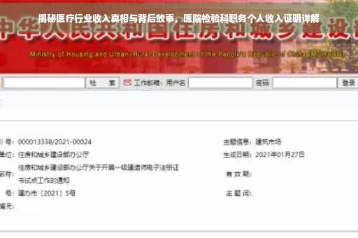 揭秘医疗行业收入真相与背后故事，医院检验科职务个人收入证明详解