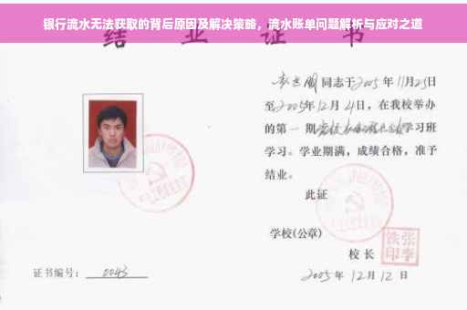 银行流水无法获取的背后原因及解决策略，流水账单问题解析与应对之道