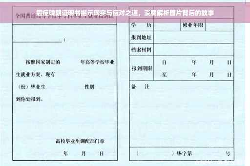癌症晚期证明书揭示现实与应对之道，深度解析图片背后的故事