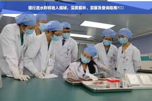 银行流水别样收入揭秘，深度解析、洞察及查询指南?⚡️
