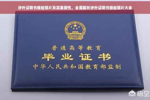 涉外证明书模板图片及其重要性，全面解析涉外证明书模板图片大全