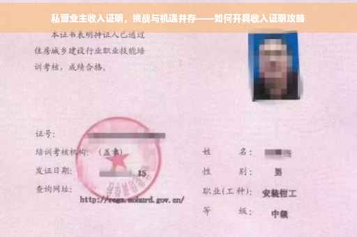 私营业主收入证明，挑战与机遇并存——如何开具收入证明攻略
