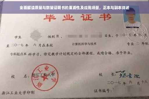 全面解读质量与数量证明书的重要性及应用场景，正本与副本详述