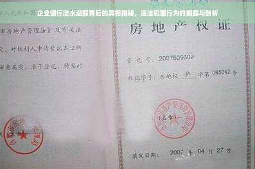 企业银行流水造假背后的真相揭秘，违法犯罪行为的揭露与剖析