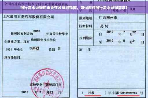 银行流水证据的重要性及获取指南，如何应对银行流水证据需求？
