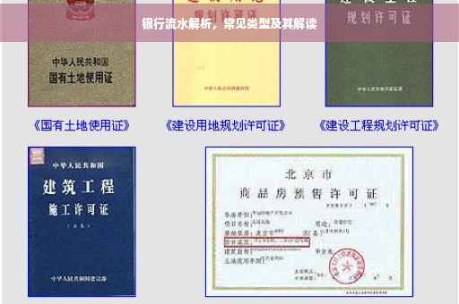 银行流水解析，常见类型及其解读