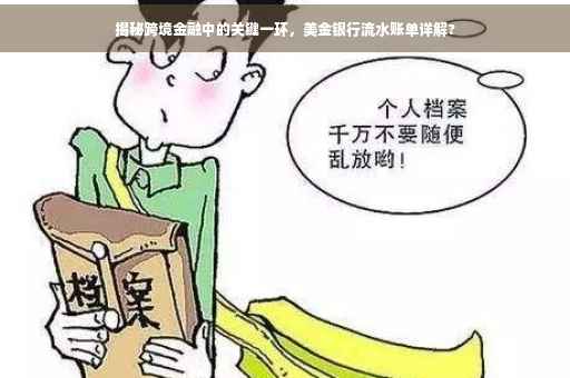 揭秘跨境金融中的关键一环，美金银行流水账单详解?