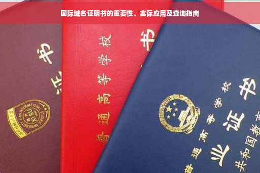 国际域名证明书的重要性、实际应用及查询指南