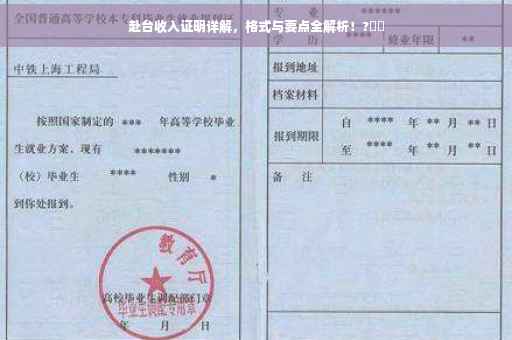 赴台收入证明详解，格式与要点全解析！?⚡️