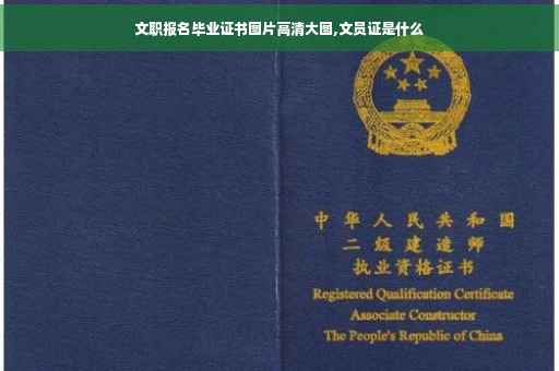 文职报名毕业证书图片高清大图,文员证是什么