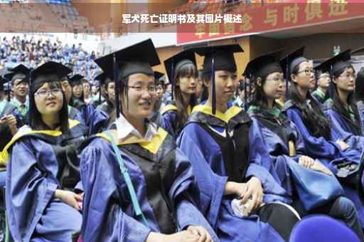 军犬死亡证明书及其图片概述