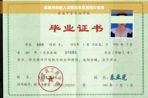 困难扶助收入证明范本及其图片指南