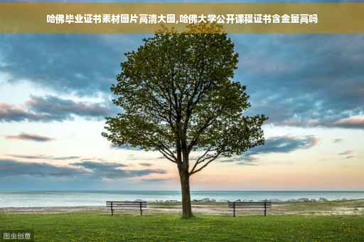 哈佛毕业证书素材图片高清大图,哈佛大学公开课程证书含金量高吗