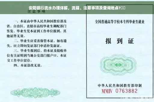 安阳银行流水办理详解，流程、注意事项及查询地点?⚡️