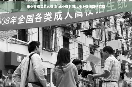 毕业照编号怎么查询-毕业证书图片线上查询网站官网