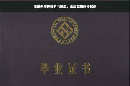 摔伤无责任证明书详解，事故真相逐步揭示