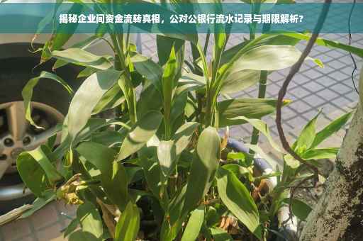 揭秘企业间资金流转真相，公对公银行流水记录与期限解析?