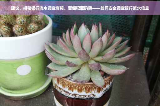 建议，揭秘银行流水调查真相，警惕犯罪陷阱——如何安全调查银行流水信息