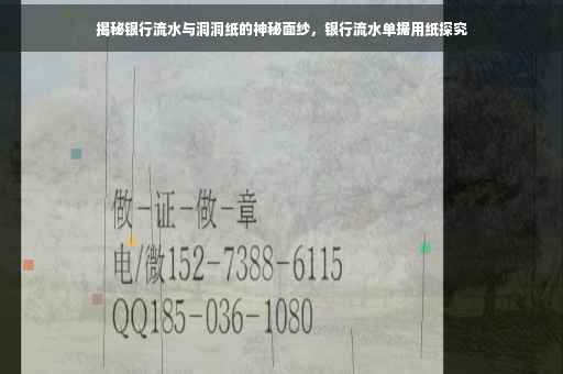 揭秘银行流水与洞洞纸的神秘面纱，银行流水单据用纸探究
