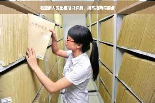 看望病人支出证明书详解，撰写指南与要点