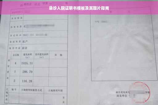 急诊入院证明书模板及其图片指南
