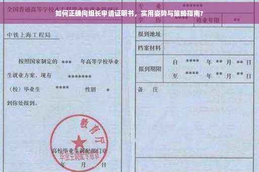 如何正确向组长申请证明书，实用姿势与策略指南?