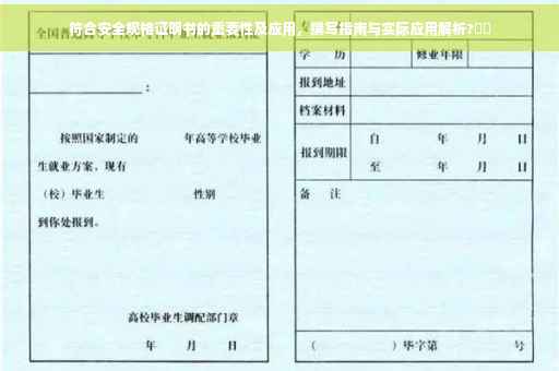 符合安全规格证明书的重要性及应用，撰写指南与实际应用解析?⚡️