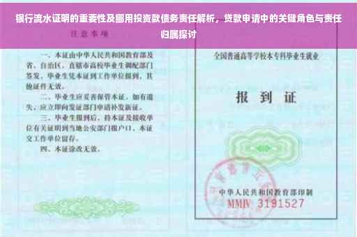 银行流水证明的重要性及挪用投资款债务责任解析，贷款申请中的关键角色与责任归属探讨