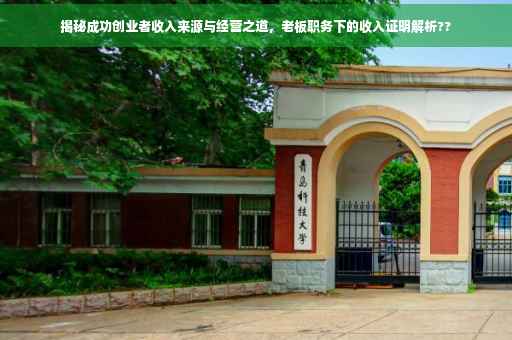 揭秘成功创业者收入来源与经营之道，老板职务下的收入证明解析??