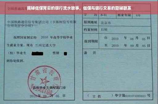 揭秘低保背后的银行流水故事，低保与银行交易的隐秘联系