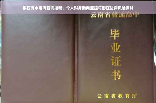 银行流水定向查询揭秘，个人财务动向监控与潜在法律风险探讨