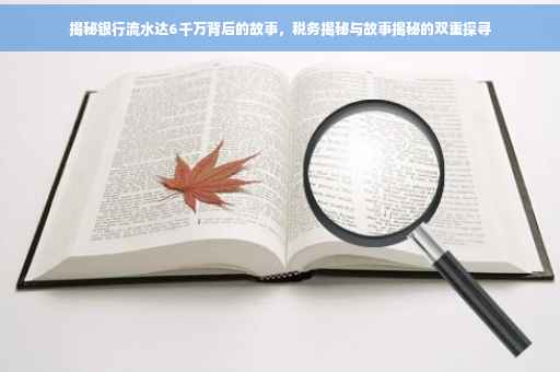 揭秘银行流水达6千万背后的故事，税务揭秘与故事揭秘的双重探寻