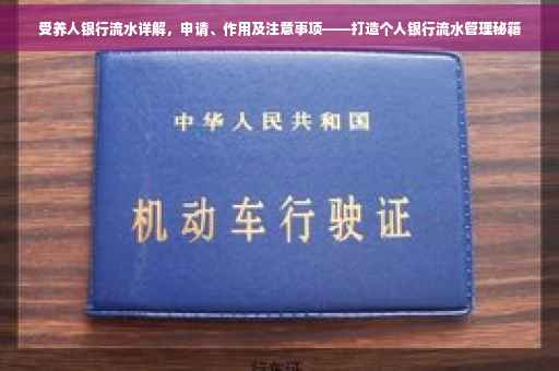 受养人银行流水详解，申请、作用及注意事项——打造个人银行流水管理秘籍