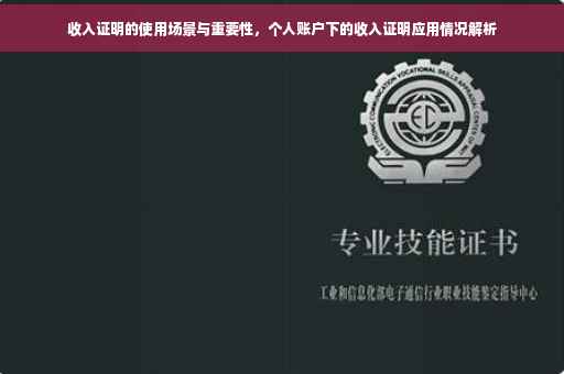 收入证明的使用场景与重要性，个人账户下的收入证明应用情况解析