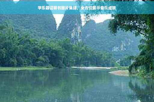 学乐器证明书图片集锦，全方位展示音乐成就