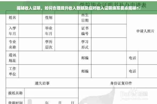 揭秘收入证明，如何合理提升收入数额及应对收入证明填写要点揭秘?✨
