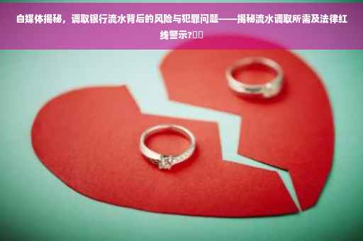 自媒体揭秘，调取银行流水背后的风险与犯罪问题——揭秘流水调取所需及法律红线警示?⚡️