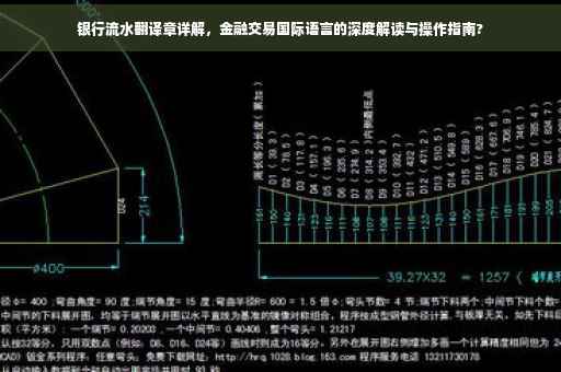 银行流水翻译章详解，金融交易国际语言的深度解读与操作指南?