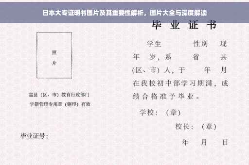 日本大专证明书图片及其重要性解析，图片大全与深度解读