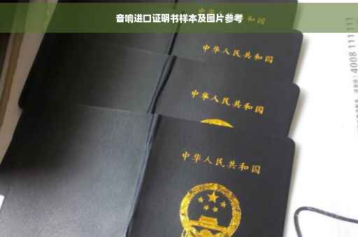 音响进口证明书样本及图片参考