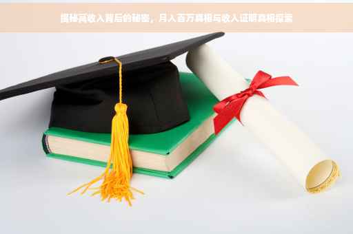 揭秘高收入背后的秘密，月入百万真相与收入证明真相探索