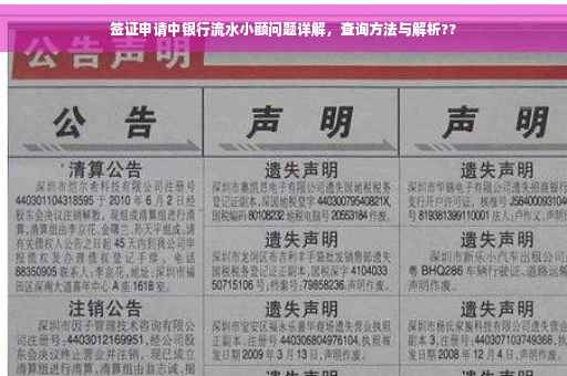 签证申请中银行流水小额问题详解，查询方法与解析??