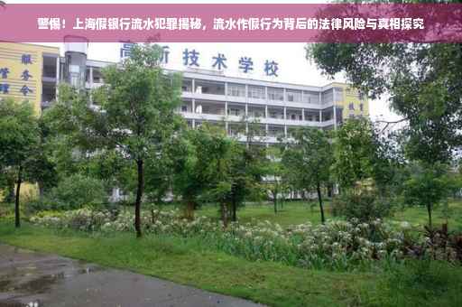 警惕！上海假银行流水犯罪揭秘，流水作假行为背后的法律风险与真相探究
