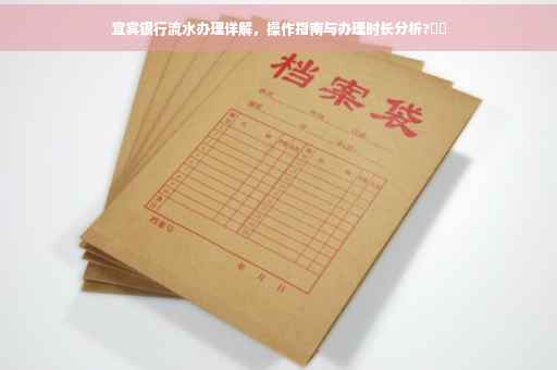 宜宾银行流水办理详解，操作指南与办理时长分析?⚡️