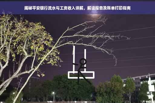 揭秘平安银行流水与工资收入详解，解读报告及账单打印指南