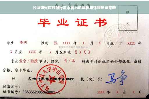 公司如何应对银行流水背后的真相与怀疑处理策略