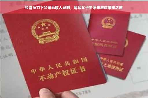 经济压力下父母无收入证明，解读父子关系与应对策略之道